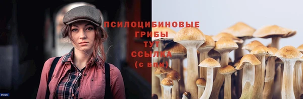 гидра Алексин